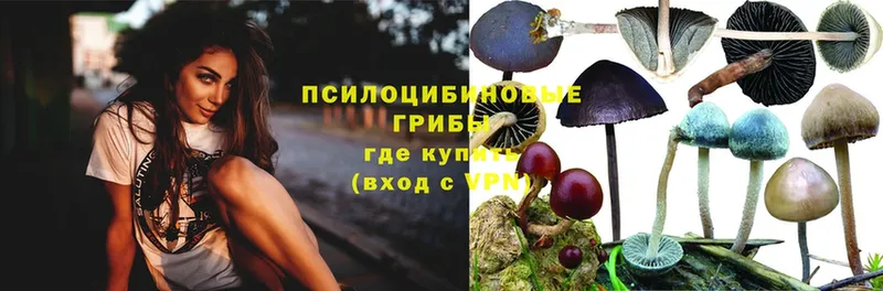 OMG зеркало  Карабулак  Галлюциногенные грибы MAGIC MUSHROOMS  купить наркотик 